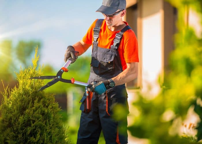 Landscaping
